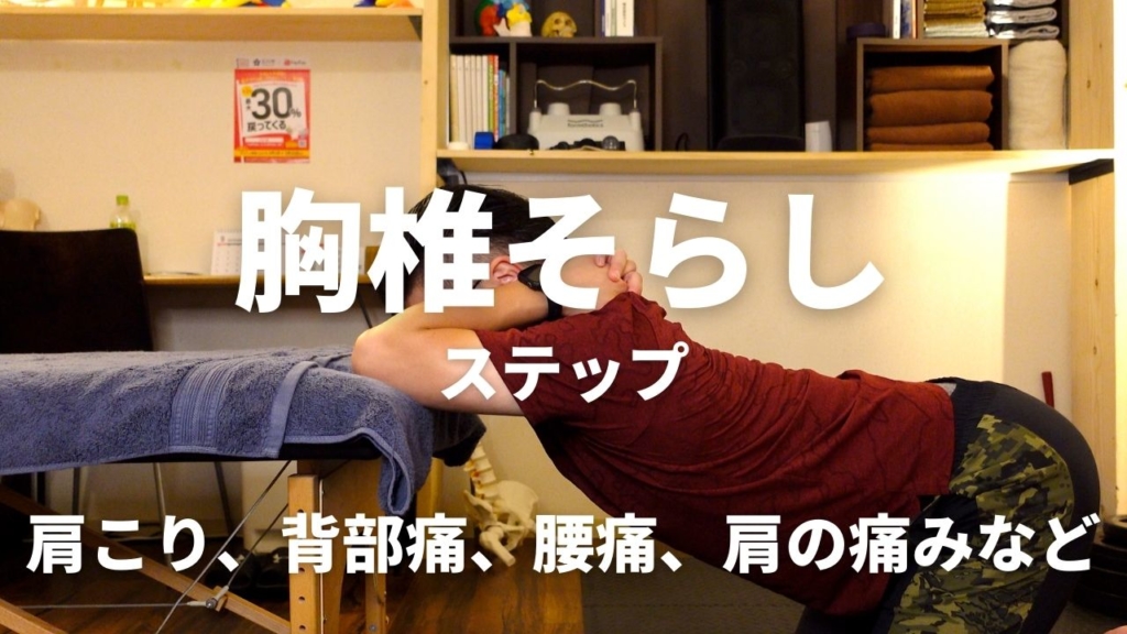 背中の運動の画像3