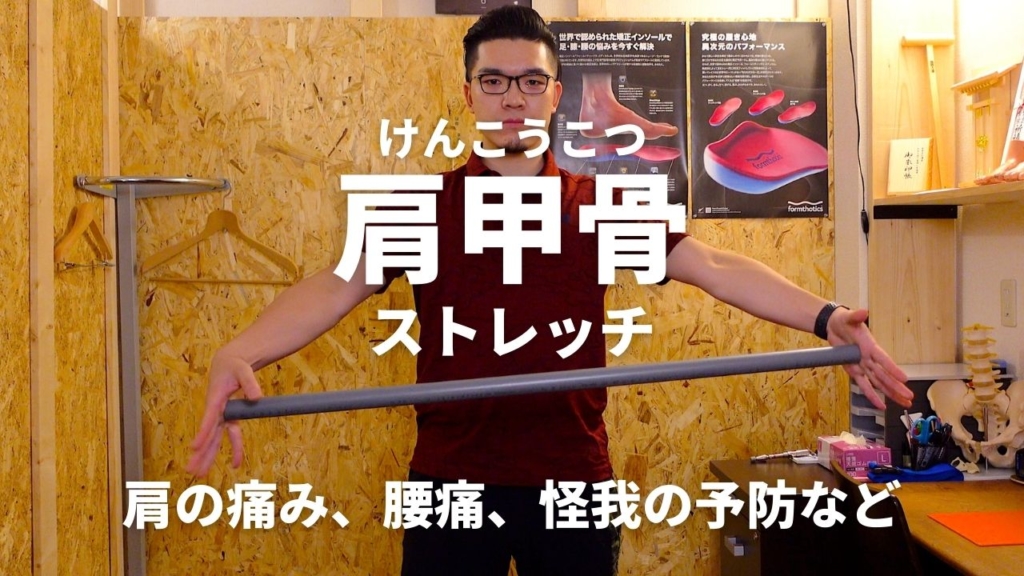 背中の運動の画像6