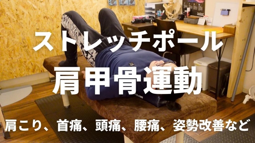 背中の運動の画像8